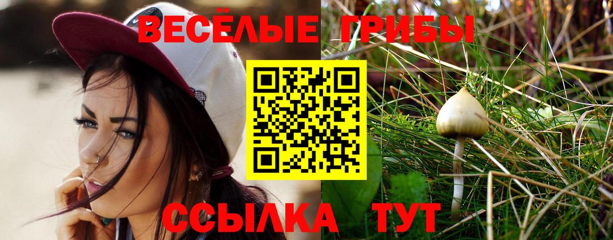 Псилоцибиновые грибы прущие грибы Кстово