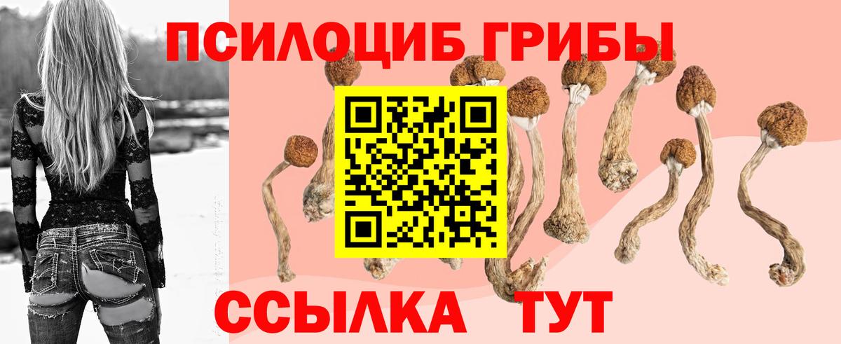 Псилоцибиновые грибы Cubensis  Вход с VPN  Псилоцибиновые грибы прущие грибы  Кстово 